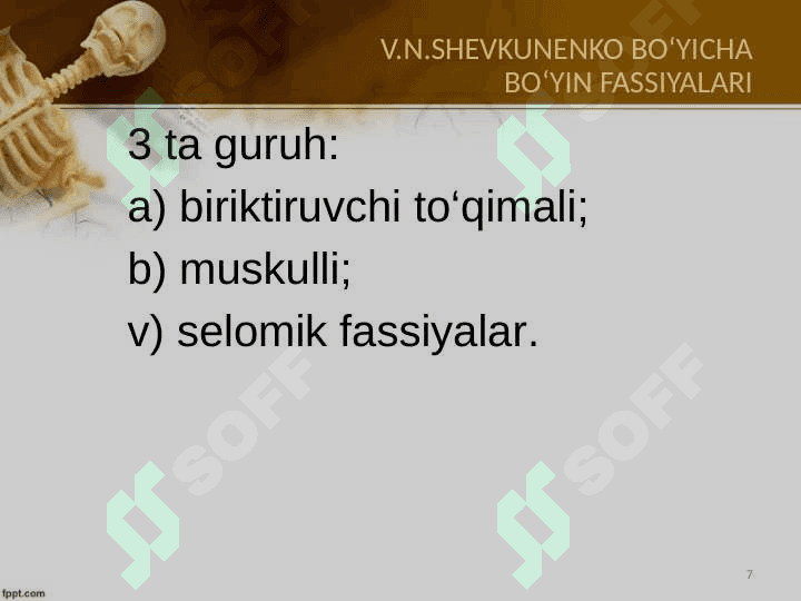 Bo‘yin sohasining topografik anatomiyasi va operativ xirurgiyasi 7