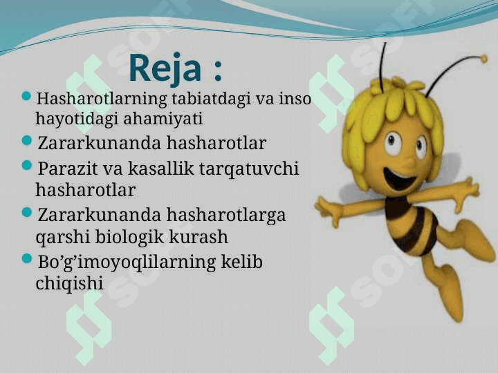 Hasharotlarning kelib chiqishi va ahamiyati 2