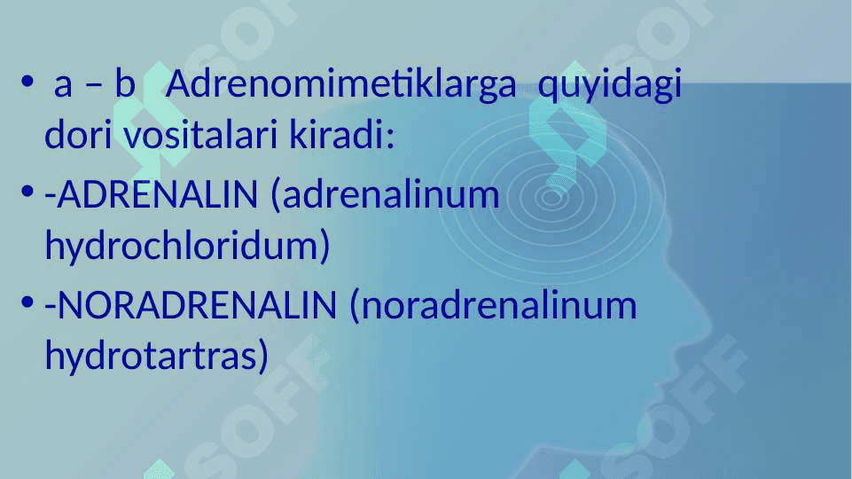 Adrenoretseptorlarni qo’zg’atuvchi vositalar (adrenomimetiklar) 7