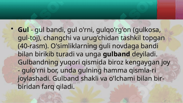 GULI - O'SIMLIKLARNING GENERATIV KO'PAYISH ORGANI 4