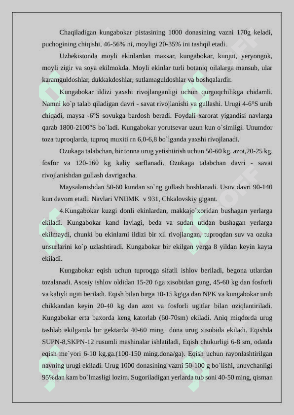 Kungaboqar moyini saqlash va qadoqlash 8