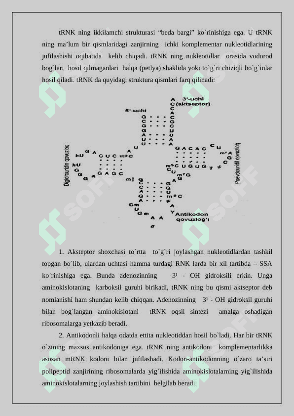 Nuklein kislotalar, tuzilishi va vazifalari 8