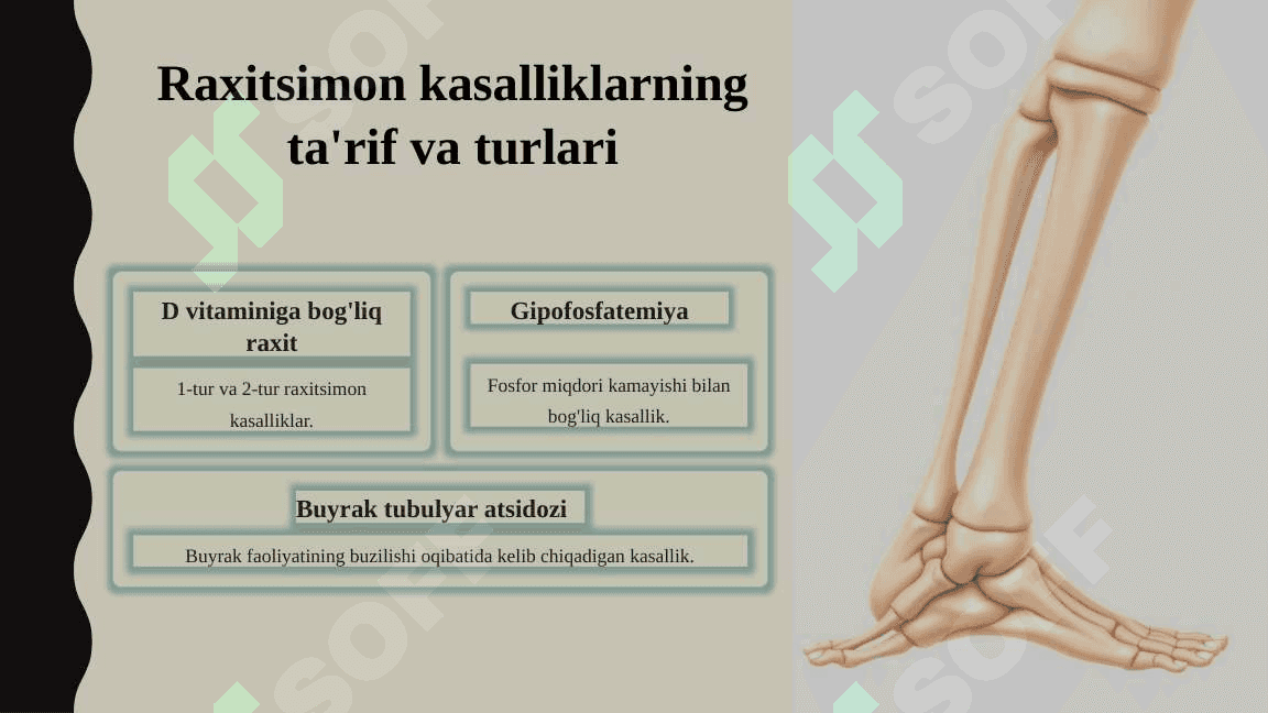Raxitsimon kasalliklar 5