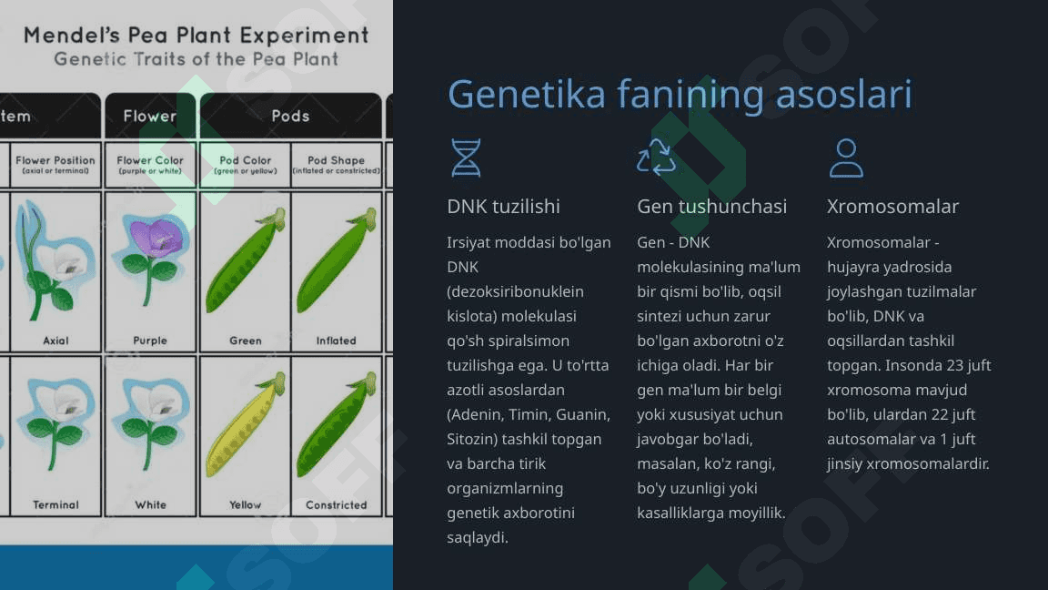 Genetika va biotexnologiya 2