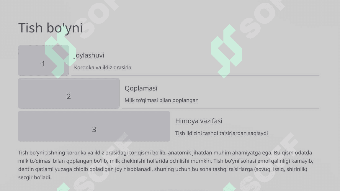 Tishlarning anatomik tuzilishi. 5