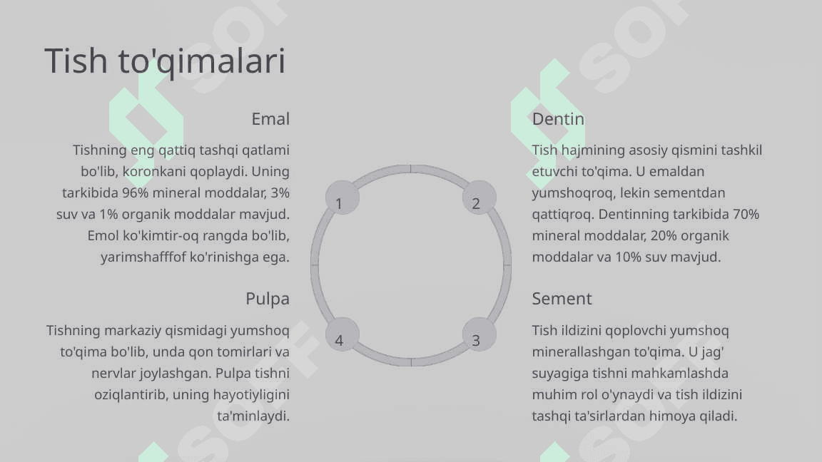 Tishlarning anatomik tuzilishi. 7