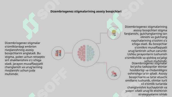 Dizembriogenez stigmalar 4