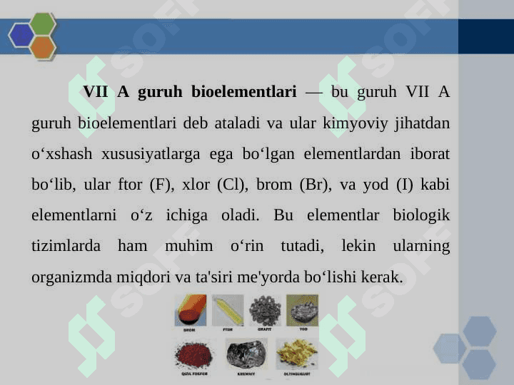 VII A guruh bioelementlari 3