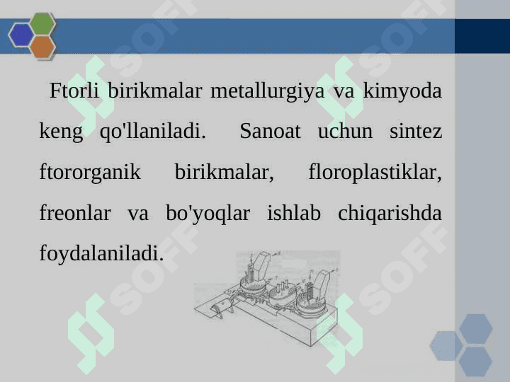 VII A guruh bioelementlari 8
