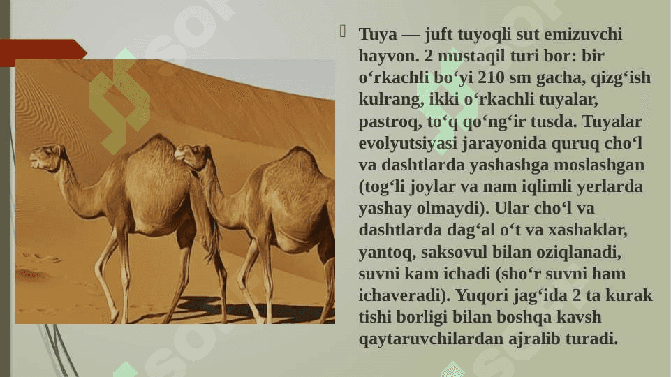 Organizmlarning ekologik guruhlari 6