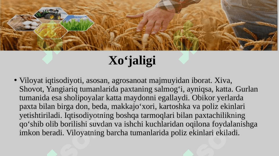 Xorazm viloyati 7
