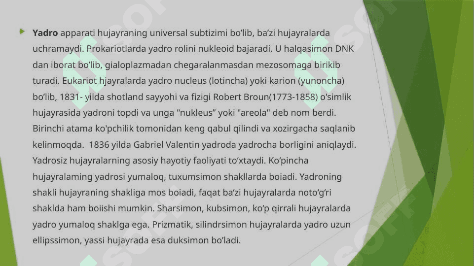 Hujayra yadrosi 3