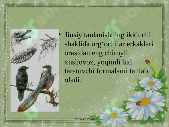 Jinsiy tanlanish 7