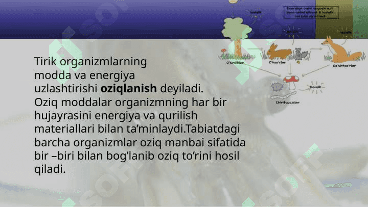 Organizmlarning oziqlanish usullari 3