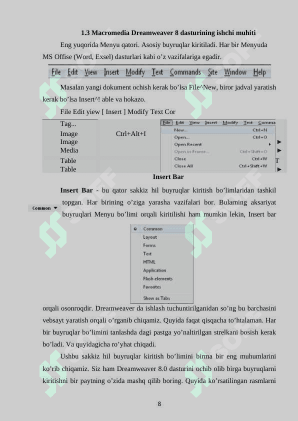 MACROMEDIA DREAMWEAVER DASTURI 8