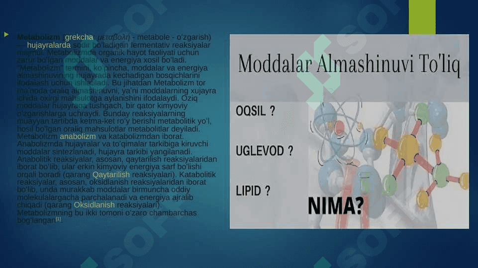 Moddalar va energiya almashinuvini o’rganish termoregulyatsiya 3
