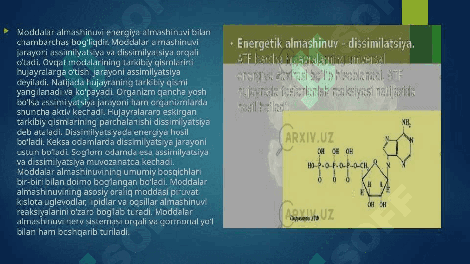 Moddalar va energiya almashinuvini o’rganish termoregulyatsiya 4