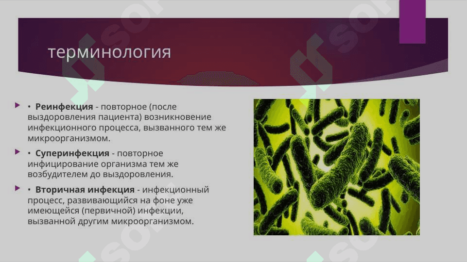 Патофизиология  инфекционного процесса 5