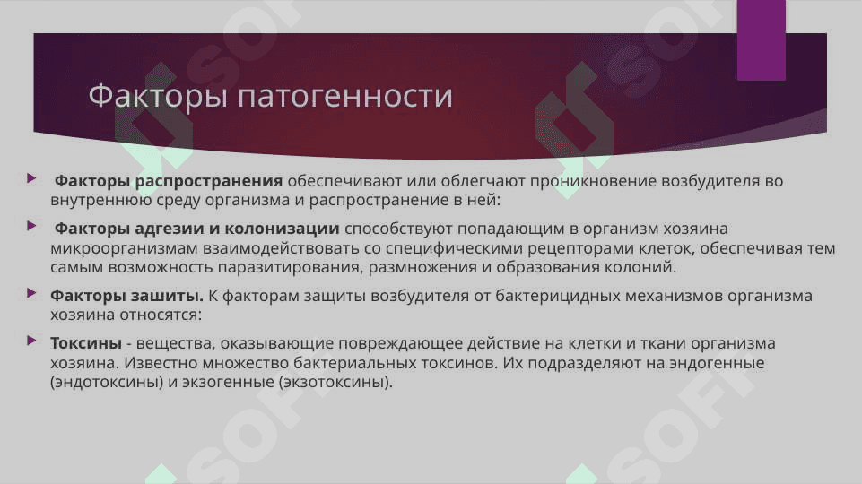 Патофизиология  инфекционного процесса 6
