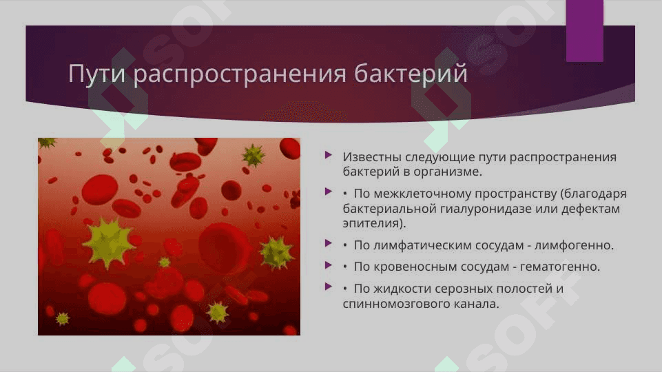 Патофизиология  инфекционного процесса 8