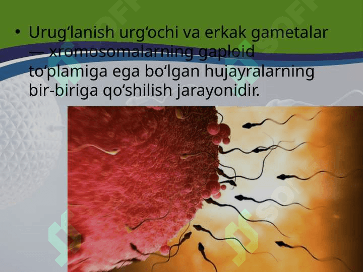 Urug‘lanish 2
