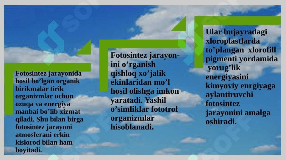 Hujayraning oziqlanish 7