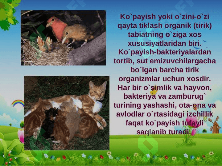 Tirik organizmlarning kòpayish xillari 3