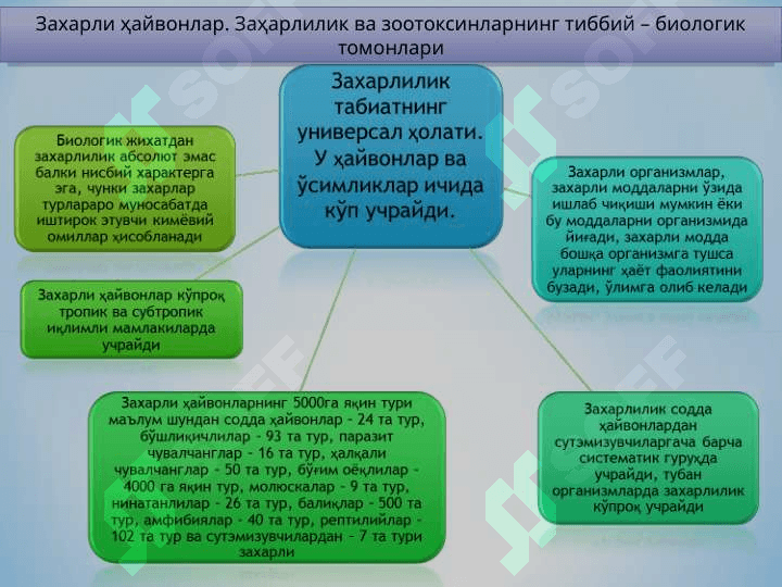 ZAHARLI HAYVONLAR 2