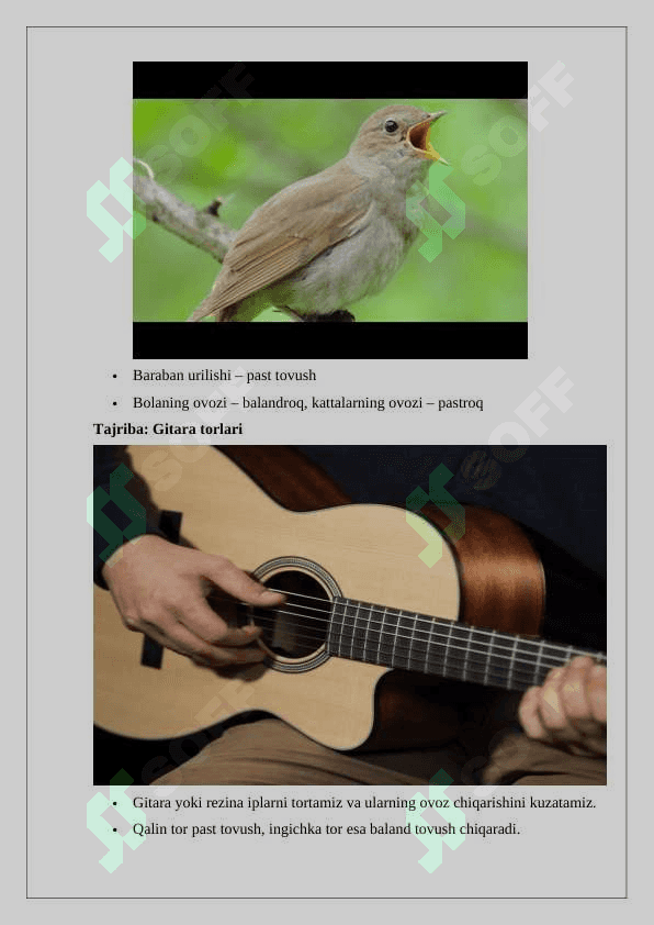 Tovushning balandligi va qattiqligi 4