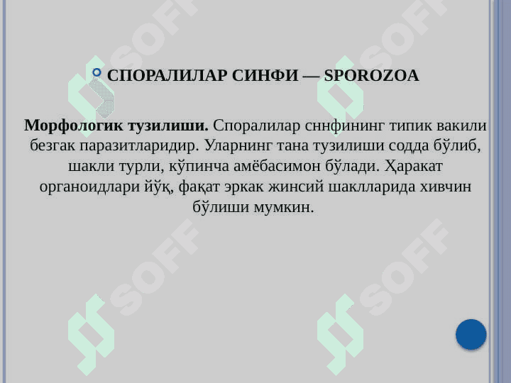 Odamlarda parazitlik qiluvchi Sporalilar:Toksoplazma,Bezgak plazmdiumi 2