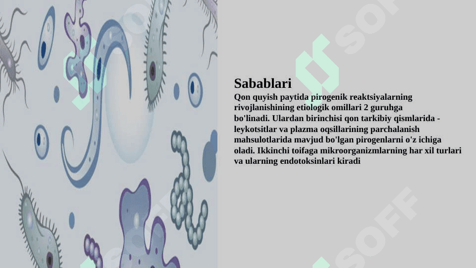 : pirogen reaksiyalar : sabablari va klinikasi 4