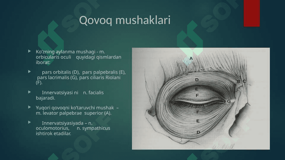 Qovoq kasalliklari 7