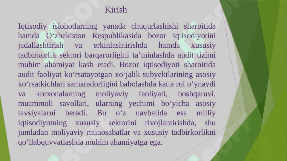 AUDITGA UMUMIY TASNIF 2