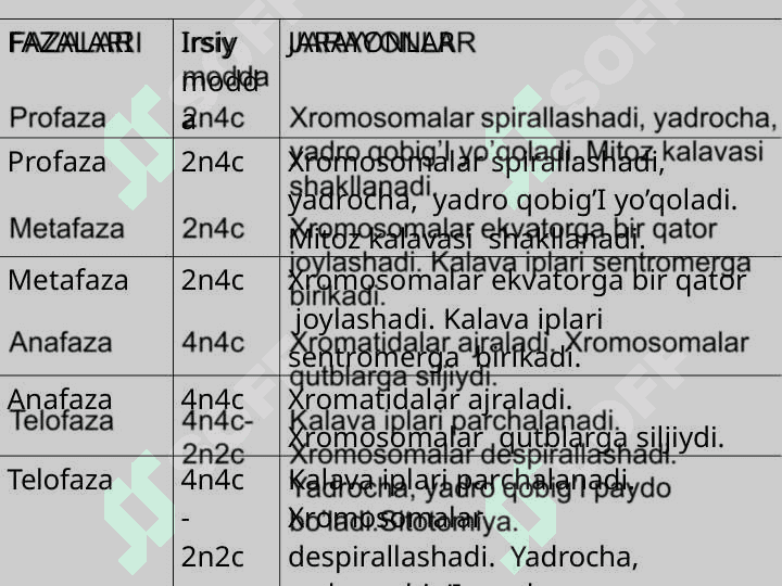 XROMOSOMA.  HUJAYRANING HAYOT SIKLI.  MITOZ. MEYOZ. 5