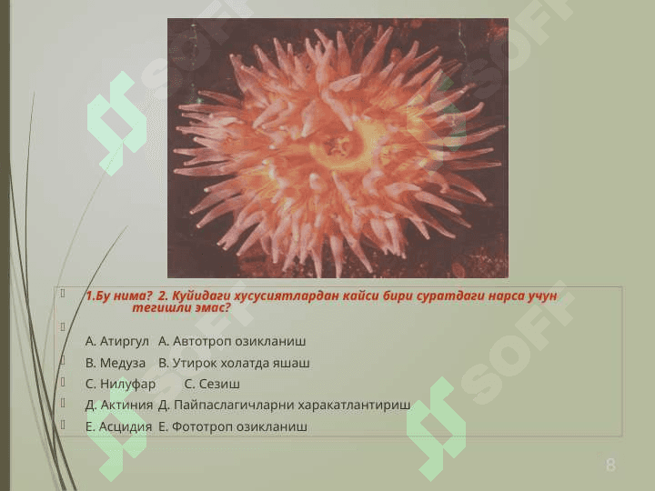 Geografiya fanidan  Suratli testlar. 105 varoqli xar 1 ta listda 2tadan savol bor, juda muhim savollar 8