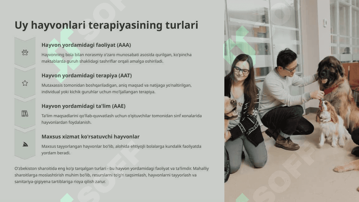 Ta'limda uy hayvonlari terapiyasidan foydalanish 4