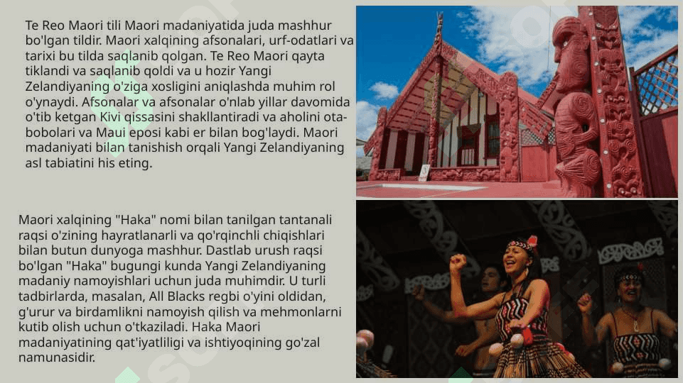 Yangi Zelandiya madaniyati | Kiwi Landning madaniy kaleydoskopi 4