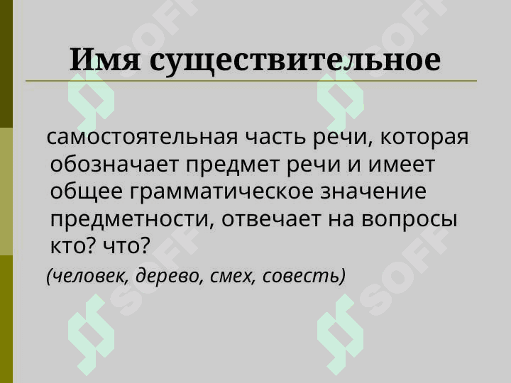 Именные части речи. Морфологические категории рода, числа, падежа 2