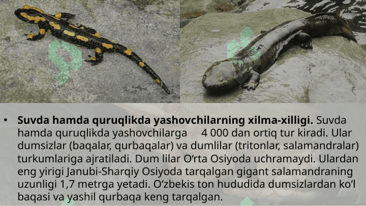 SUVDA HAMDA QURUQLIKDA YASHOVCHILAR 6