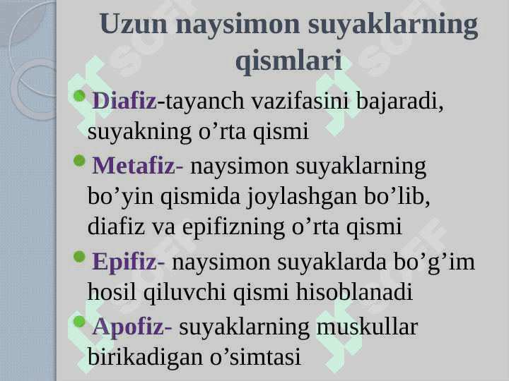 Qo’l ,oyoq va chanoq suyaklarining funksional anatomiyasi 2