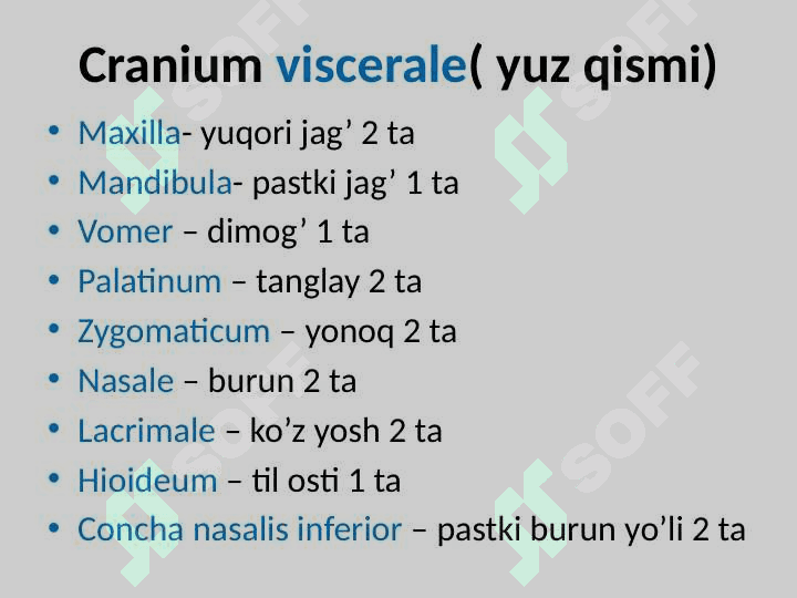 Kalla suyaklarining umumiy anatomiyasi(miya qism suyaklari) 4