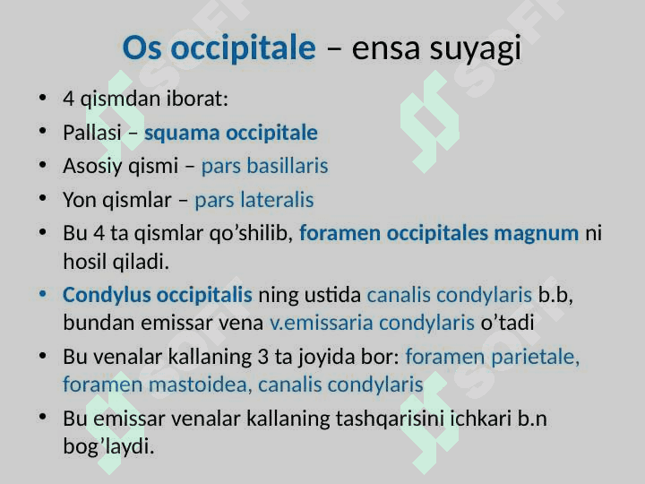 Kalla suyaklarining umumiy anatomiyasi(miya qism suyaklari) 5