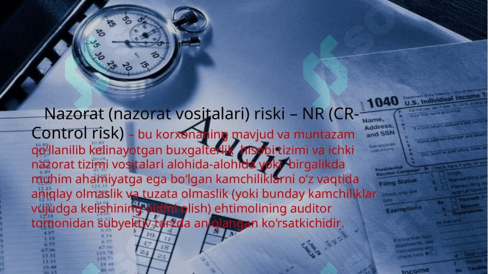 Audit riski 2