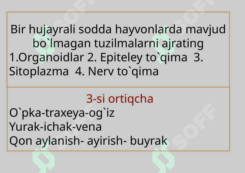 Sodda hayvonlar tipi Soxtaoyoqlilar sinfi 2