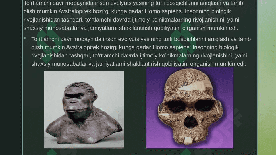 Toʻrtlamchi davr yotqiziqlari 4