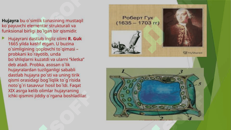Hujayra nazariyasini yaratilish tarixi 3