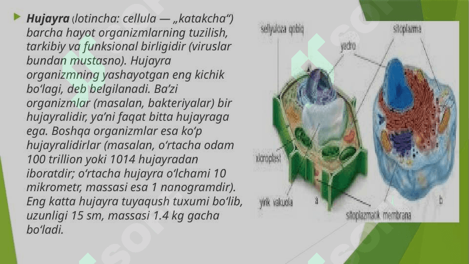 Hujayra nazariyasini yaratilish tarixi 4