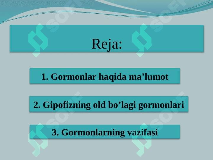 Gormonlar va ularning vazifasi 2