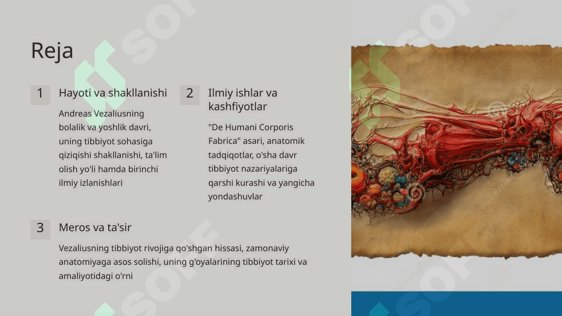 Andreas Vezalius Zamonaviy Anatomiyaning Otasi 2