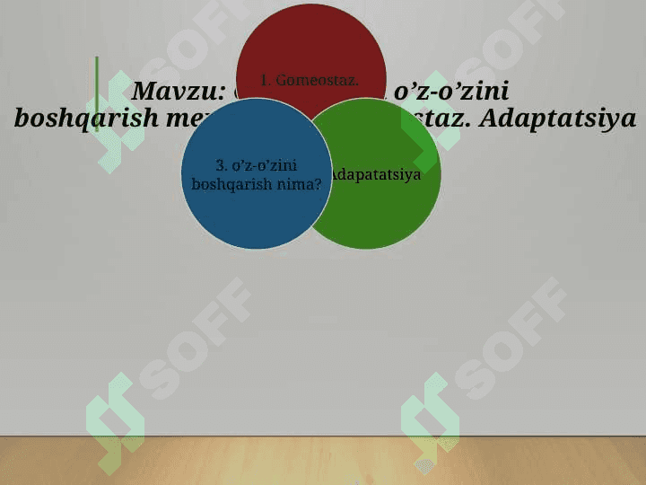 Organizmni o’z-o’zini boshqarish mexanizmi.Gomeostaz.Adaptatsiya. 2